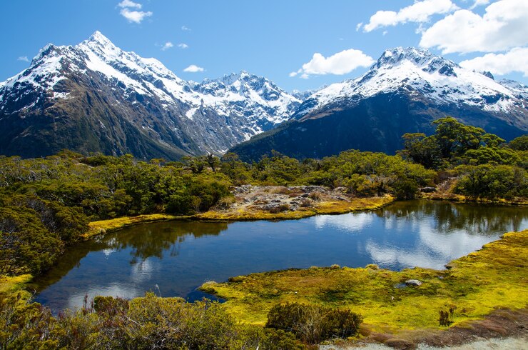 custom new zealand travel packages